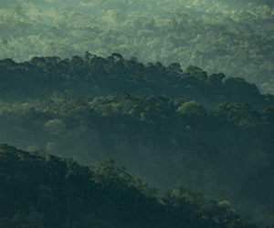 Arq Sustainability Report 2024