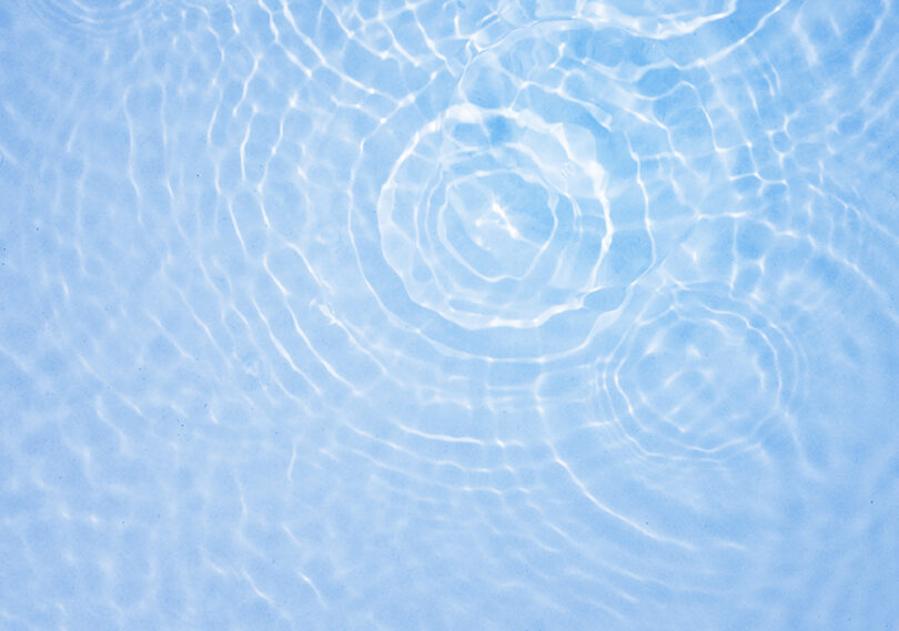 Membrion leadership team expansion