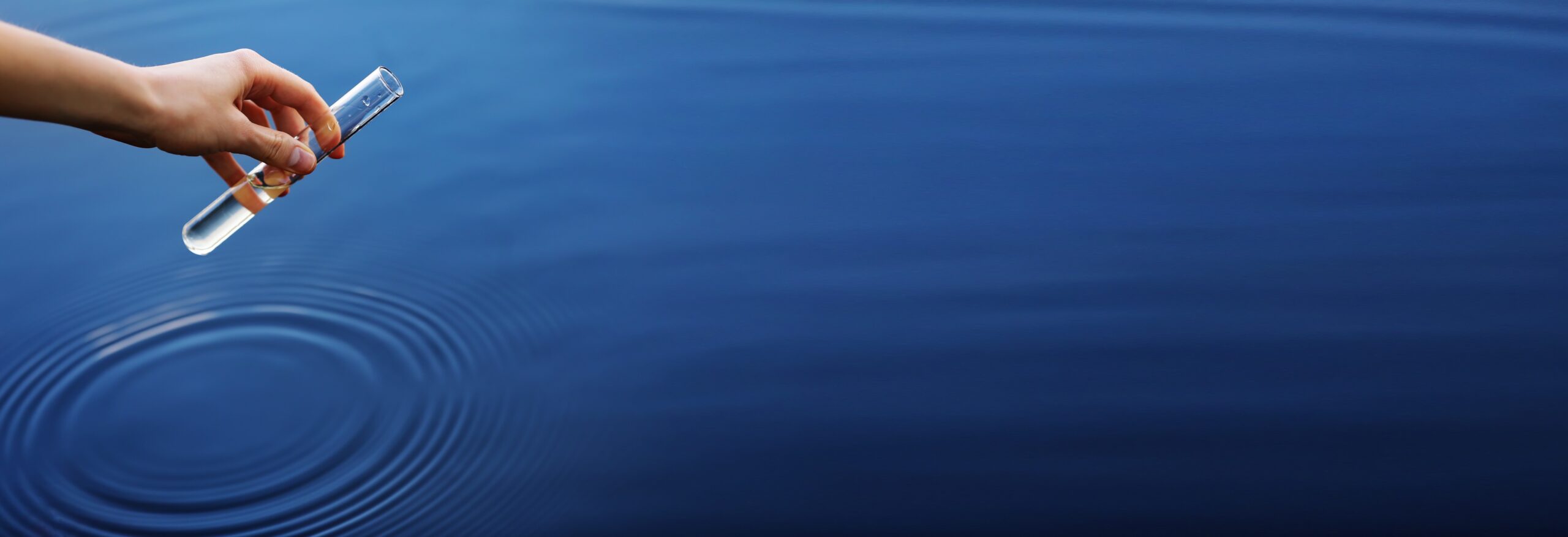 Cerberus Capital Management